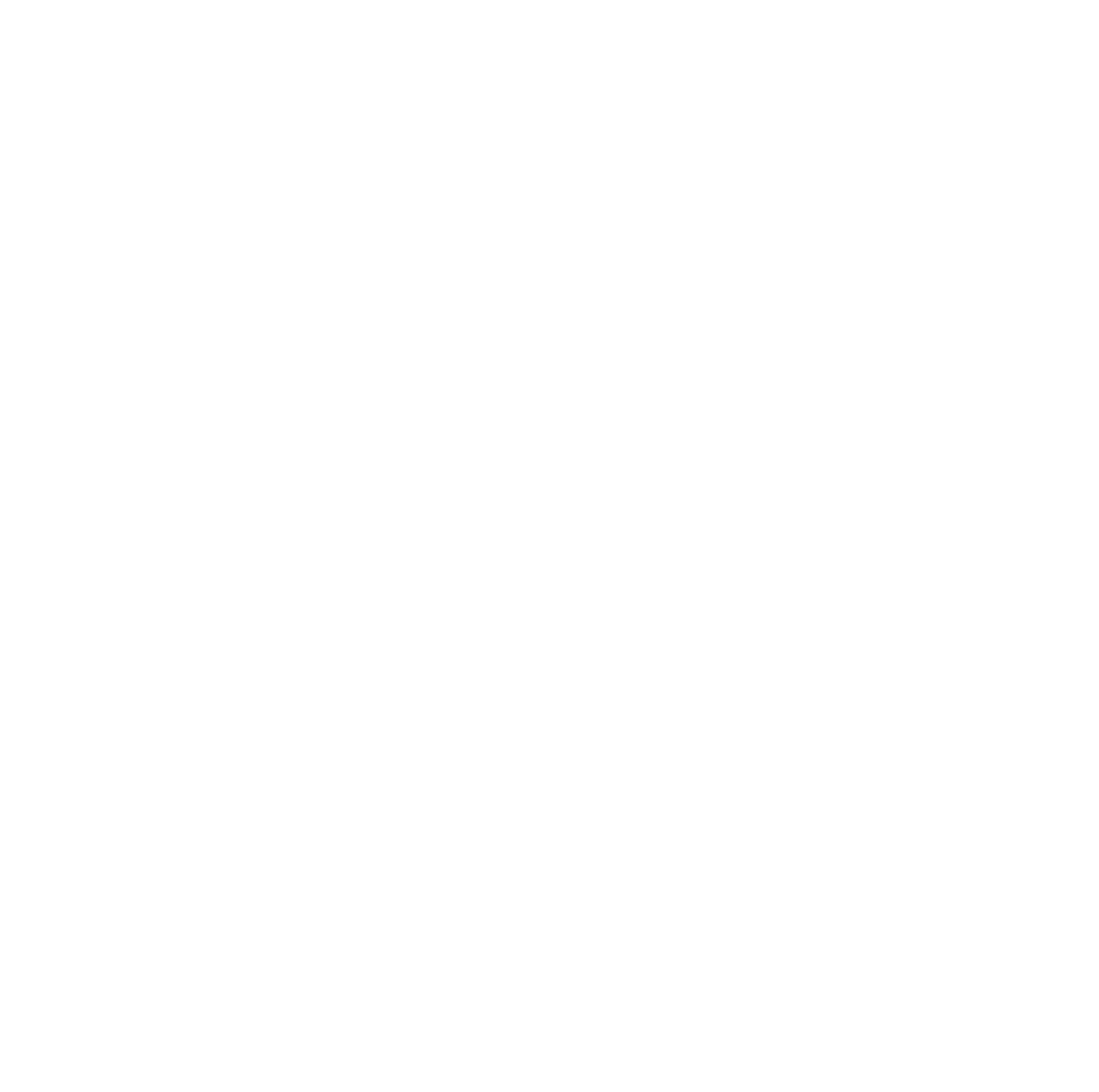 logo-icon